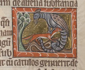 Mustela (weasel) attacking a basilisk
