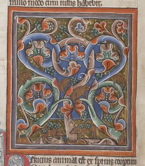 Hiricius (Ericius, porcupine)