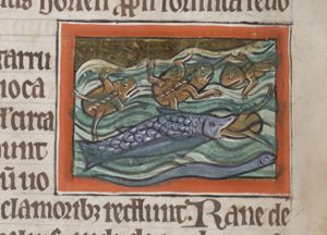 Frogs in a river; one is eaten by a fish