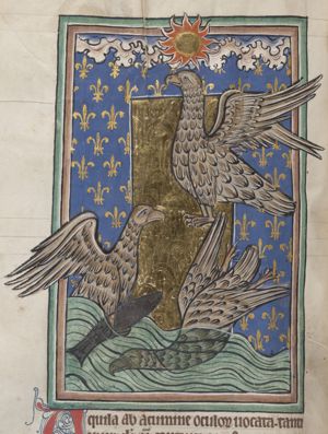 Eagles, one flying close to the sun, one diving in the water, one holding a fish
