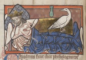 Caladrius, a fabulous bird, predicts the coming death of a sick man by turning its head aside