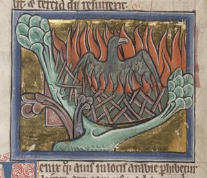Fenix arabie (Phoenix) in flames