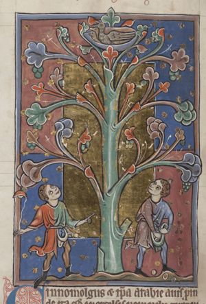 Cinomolgus (cinnamon bird, Arabian bird) on a bird's nest; a man hurling a stone at the bird with a sling