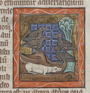 Perdix (partridges) and a dog