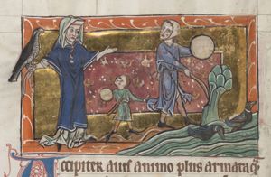 Accipiter (goshawk), on the arm of a huntress, ready to hunt the ducks that a man and a boy aim to scare from a pond by beating their drum