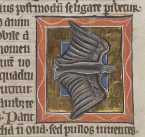 Vespertilio (bat)