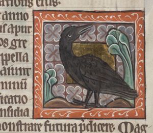 Cornix (crow)