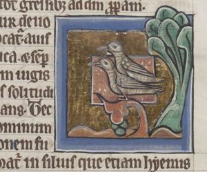Turtur (a pair of turtle-doves)