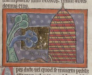 Apes (bees) and a bee-hive