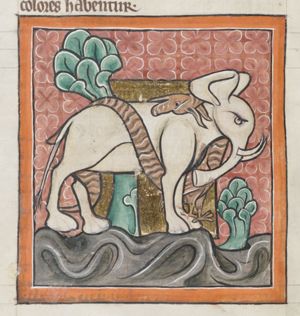 Draco (dragon, python) coiled around an elephant