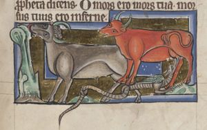 Boas (boa), a large serpent that follows cattle and drinks their milk