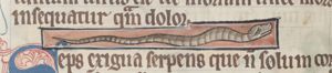 Seps (viper?)