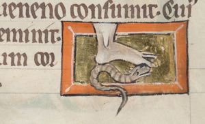 A foot stepping on a snake