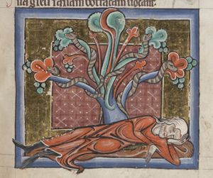 A man sleeping at the foot of a tree with salamanders climbing its branches
