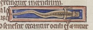 Saura (lizard)