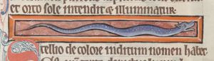 Stellio (lizard)