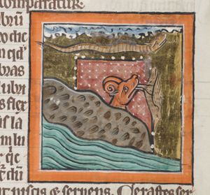 Coluber and cerastes (serpents)