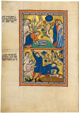 Thermuthis, Pharaoh's daughter, is standing behind the servant who pulls Moses out of the water, and puts her left hand on her shoulder; two other servants accompany her; to the right Jochebed(?) and Miriam(?) one of whom holds her left hand in front of her in a gesture of speech and her right hand in front of her chest, are watching the rescue; two trees.