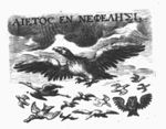 Eagle and other birds flying towards the sun