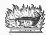 Salamander in a fire on a pedestal