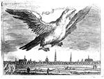 An eagle with a banderole in its beak, flying over a landscape with human activities: fishing, sailing, walking; city-view
