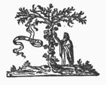Man picking a bunch of grapes off a vine, winding itself round a tree; banderole