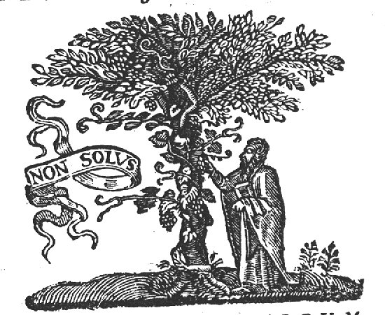 Man picking a bunch of grapes off a vine, winding itself round a tree; banderole