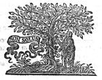 Man picking a bunch of grapes off a vine, winding itself round a tree; banderole
