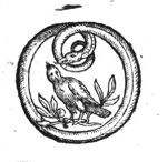 Dove surrounded by a snake