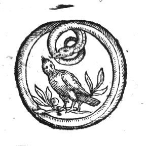 Dove surrounded by a snake
