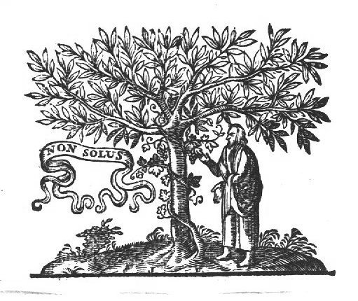 Man picking a bunch of grapes off a vine, winding itself round a tree; banderole
