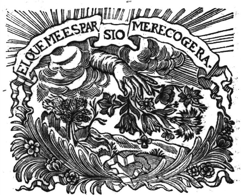 A hand from the clouds holding flowers over a landscape with a tree; banderole with inscription