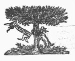 Bees attacking a wolf searching for honey from a tree; banderole