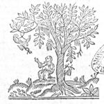 Kneeling man under a tree, holding his left hand in front of his chest, pointing with his right hand (two fingers), towards something hanging in the tree (a horn?): Elijah being fed by the ravens?