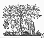 Man picking a bunch of grapes off a vine, winding itself round a tree; banderole