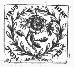 Bee sucking honey (Latin: 'mel') and spider (Dutch: 'spin') sucking venom from a rose
