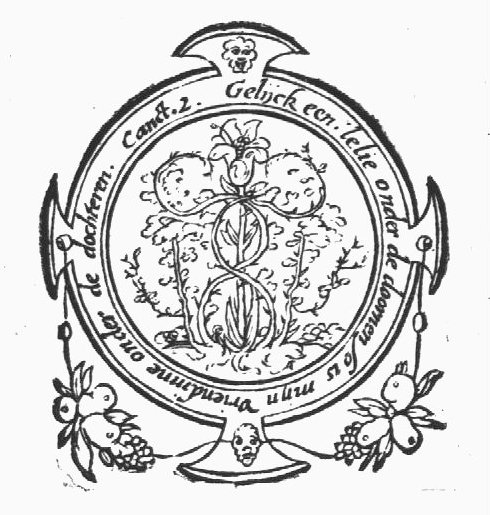 Lily and thorny shrubs, illustrating the Song of Songs: 'As a lily among thorns, So is my love among the daughters'; frame with stylized festoons