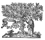 Man picking a bunch of grapes off a vine, winding itself round a tree; banderole
