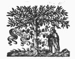 Man picking a bunch of grapes off a vine, winding itself round a tree; banderole