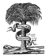 Palm tree; banderole