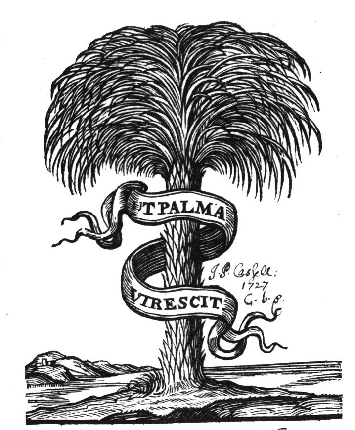 Palm tree; banderole