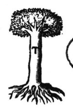 Tree, roots visible; initial 'T'