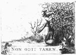 A man pruning a vine with a sickle; banderole with inscription