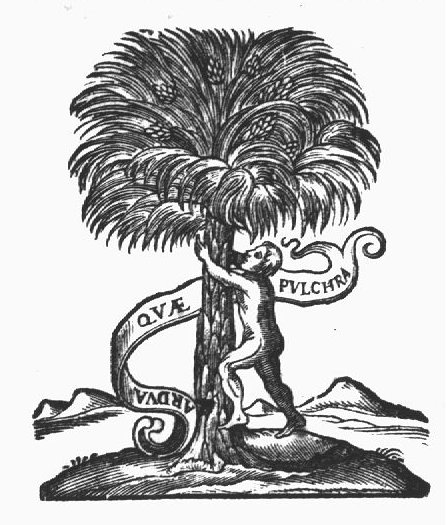 Naked man trying to climb a palm tree; banderole