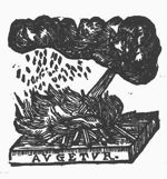 Wind blowing over burning logs