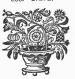 Flowers in a pot
