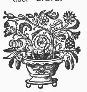 Flowers in a pot