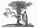 Man picking a bunch of grapes off a vine, winding itself round a tree; banderole