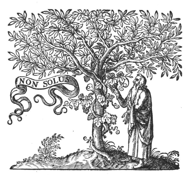Man picking a bunch of grapes off a vine, winding itself round a tree; banderole