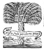 Palm tree with a stone on top; banderole